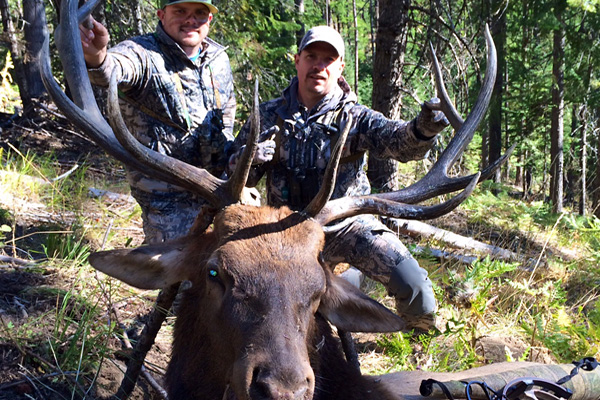 Remote-Archery-Elk-Hunt 2015